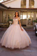 Juliet 1430 Dress Quinceanera Ball Gown Embroidered Applique Glitter Tulle