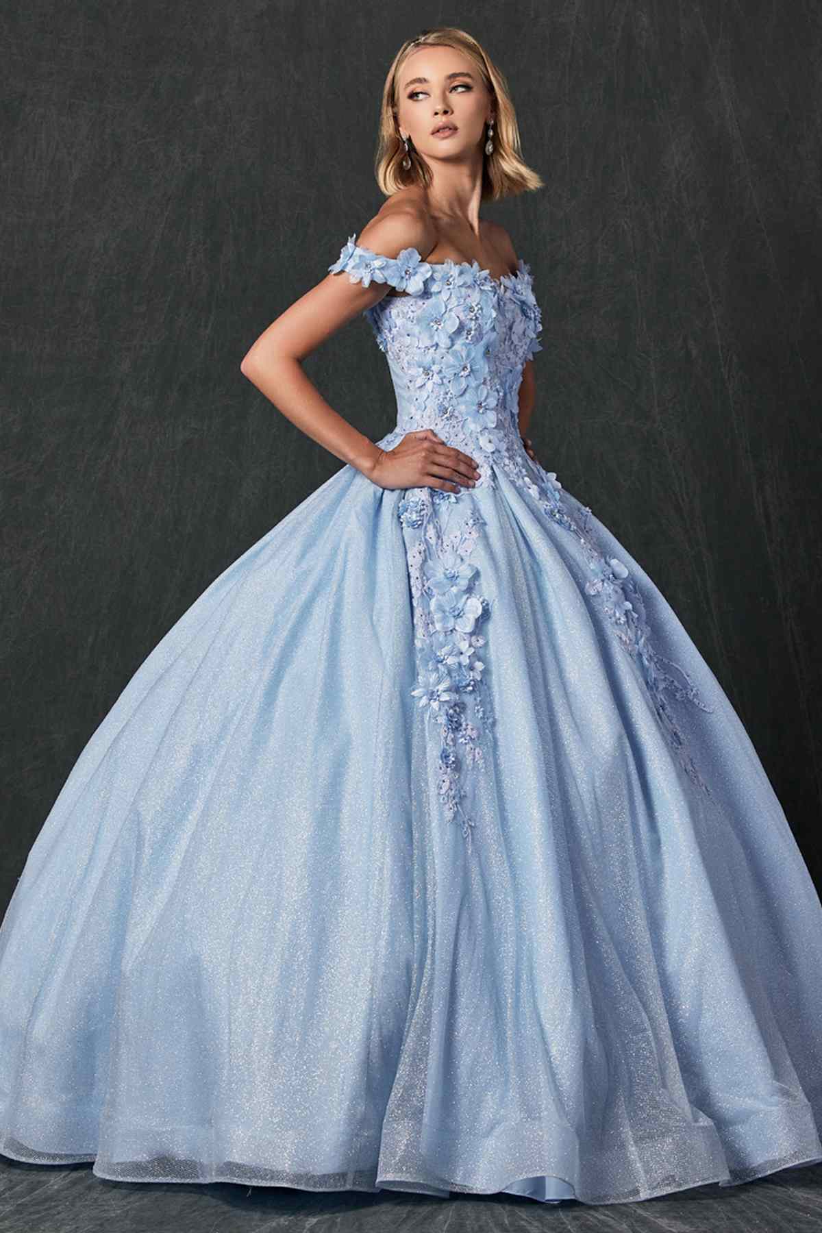 Juliet 1433 Dress Quinceanera Ball Gown 3D Floral Embroidered