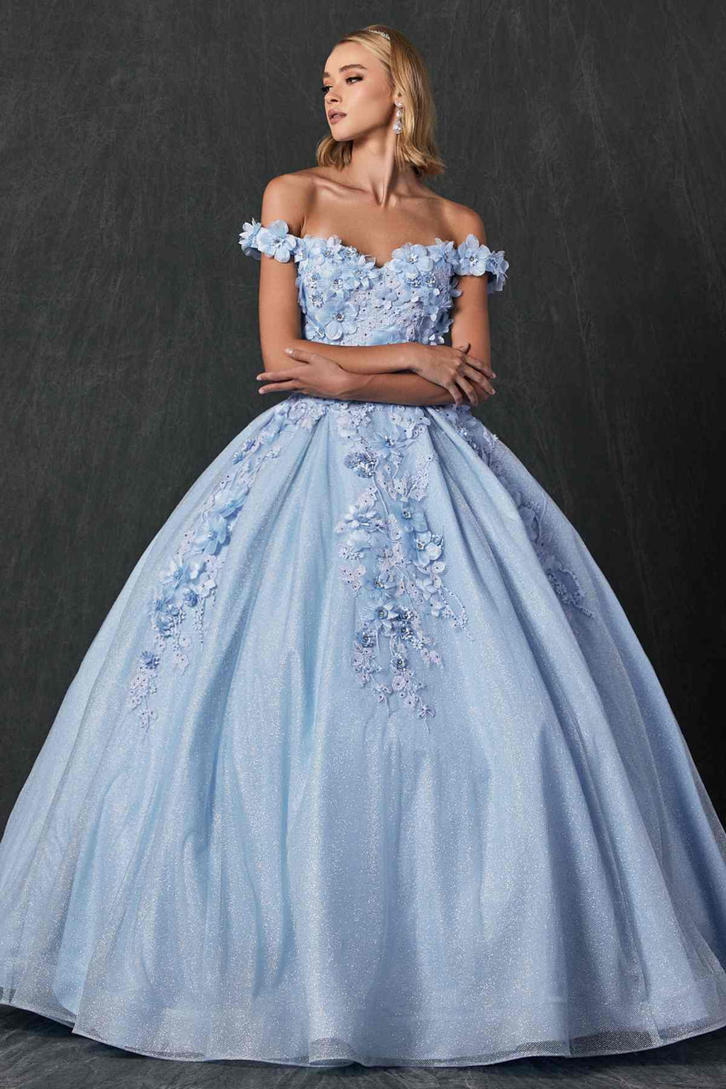 Juliet 1433 Dress Quinceanera Ball Gown 3D Floral Embroidered