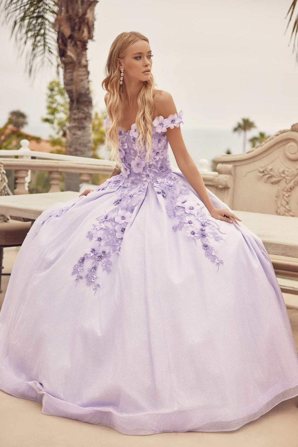 Juliet 1433 Dress Quinceanera Ball Gown 3D Floral Embroidered