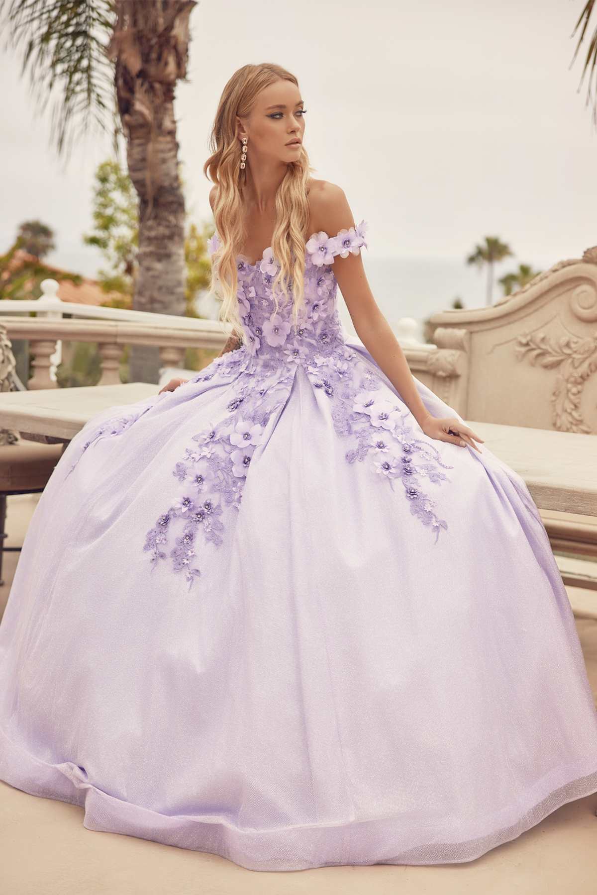 Juliet 1433 Dress Quinceanera Ball Gown 3D Floral Embroidered