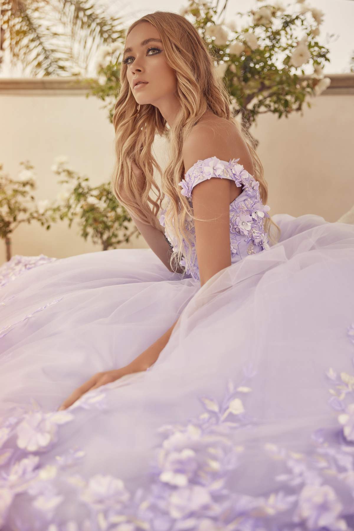 Juliet 1434 Dress Quinceanera Ball Gown 3D Floral Embroidered
