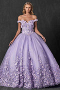 Juliet 1434 Dress Quinceanera Ball Gown 3D Floral Embroidered