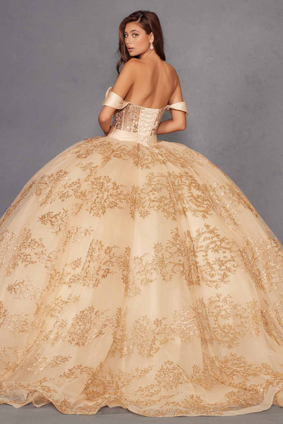Juliet JT1488H Royal Princess A-Line Ball Gown Quinceanera
