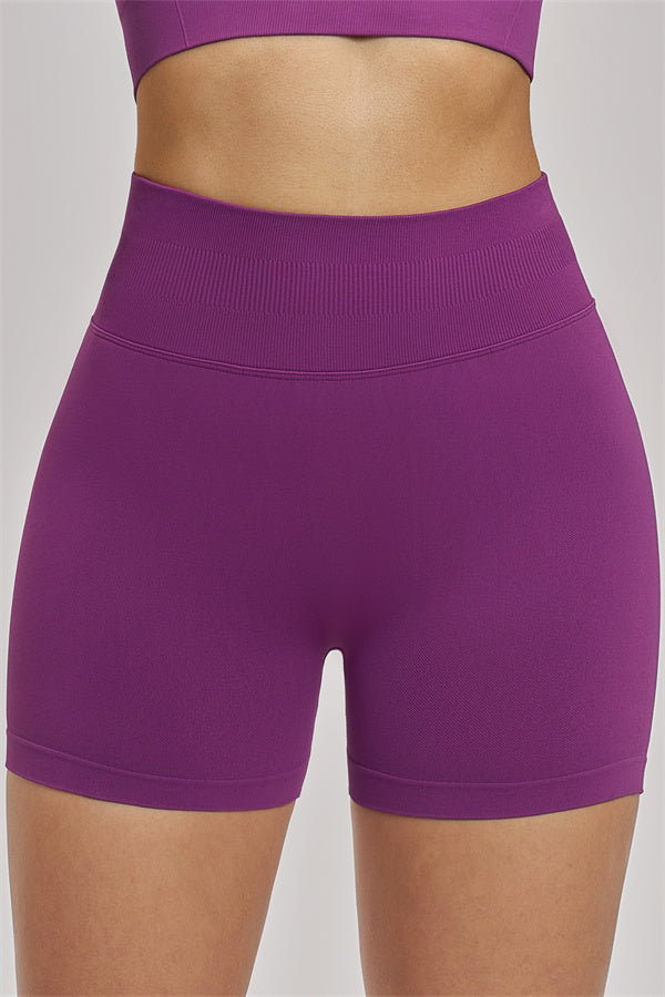 The Vision Sports Bra Shorts 2-Piece Set