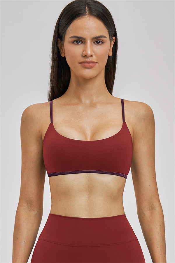 The New Seraphine Sports Bra