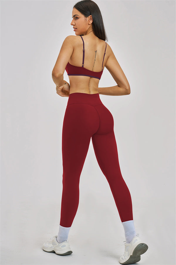 The New Seraphine Sports Bra