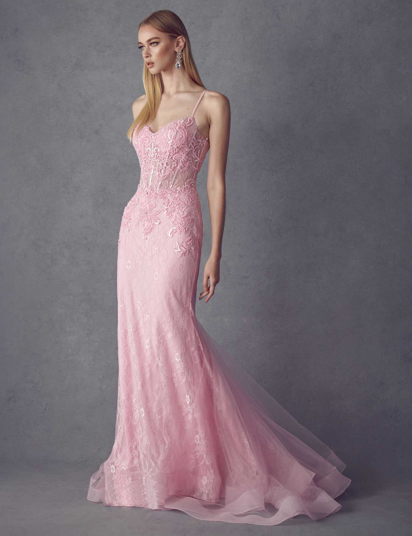 Juliet 250 Embellished Lace Mermaid Dress