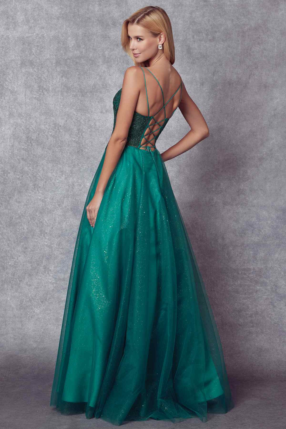 Juliet 268 Embroidered Sparkle Tulle Ball Gown