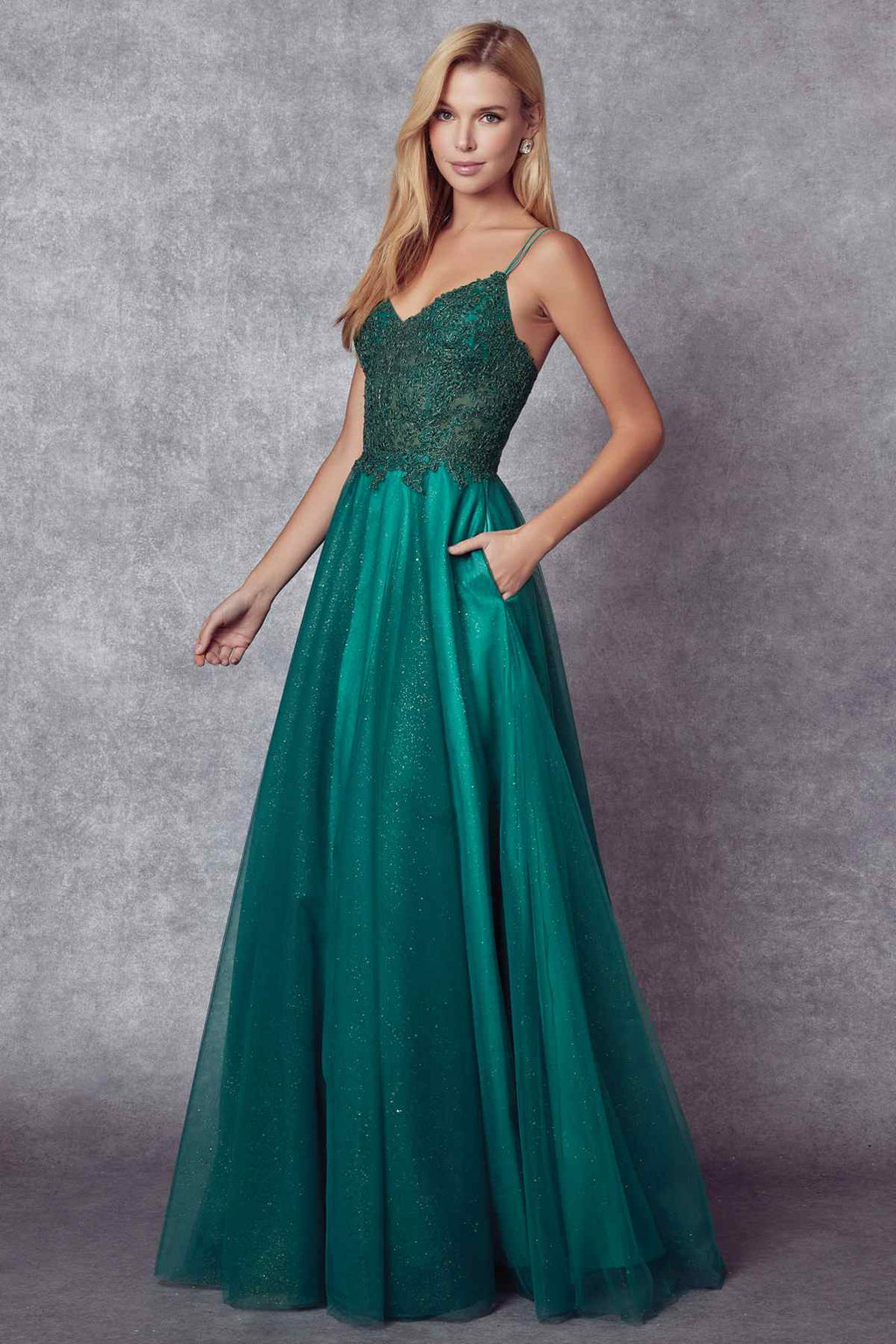 Juliet 268 Embroidered Sparkle Tulle Ball Gown