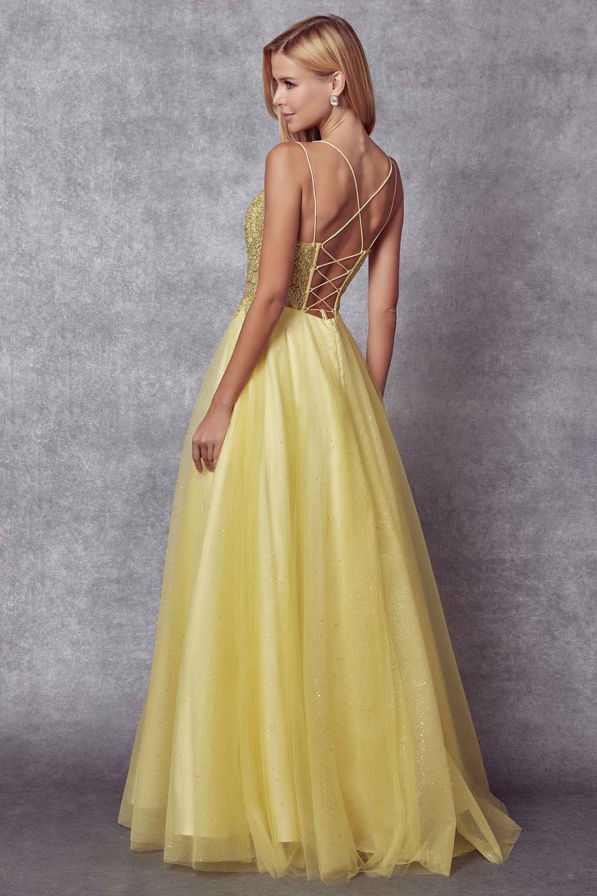 Juliet 268 Embroidered Sparkle Tulle Ball Gown