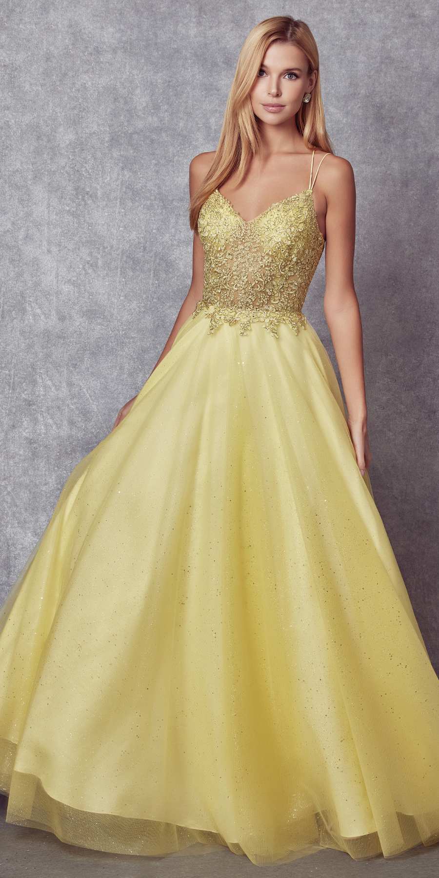 Juliet 268 Embroidered Sparkle Tulle Ball Gown