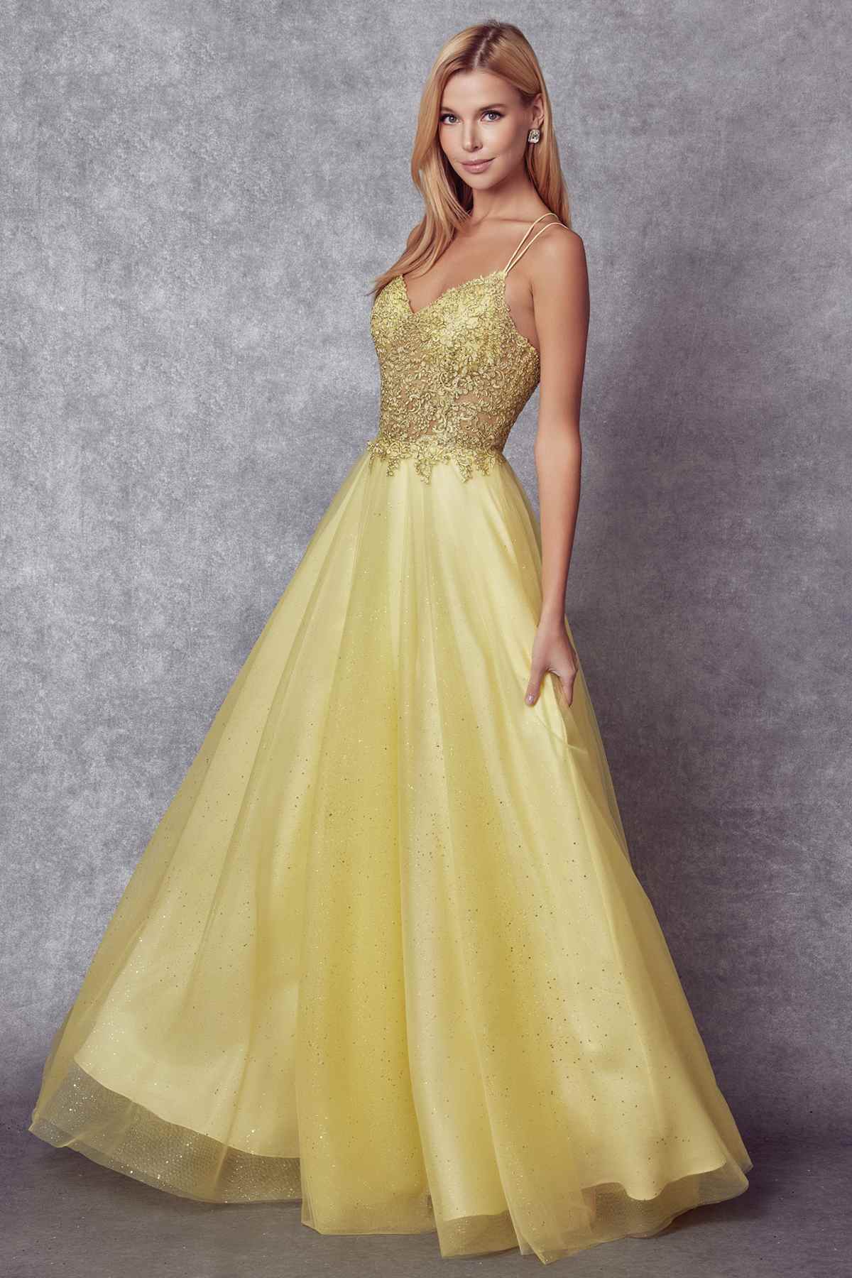 Juliet 268 Embroidered Sparkle Tulle Ball Gown