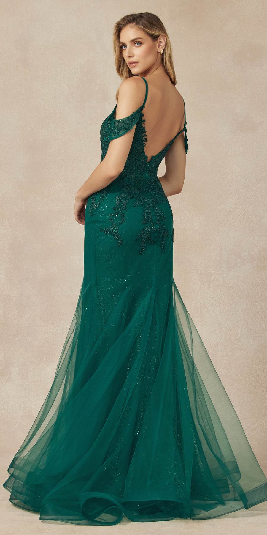 Juliet 281 Long Fully Mesh Gown Off the Shoulder Sleeves Mermaid Skirt