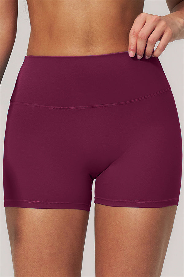 The Rapture Sports Bra Shorts 2-Piece Set