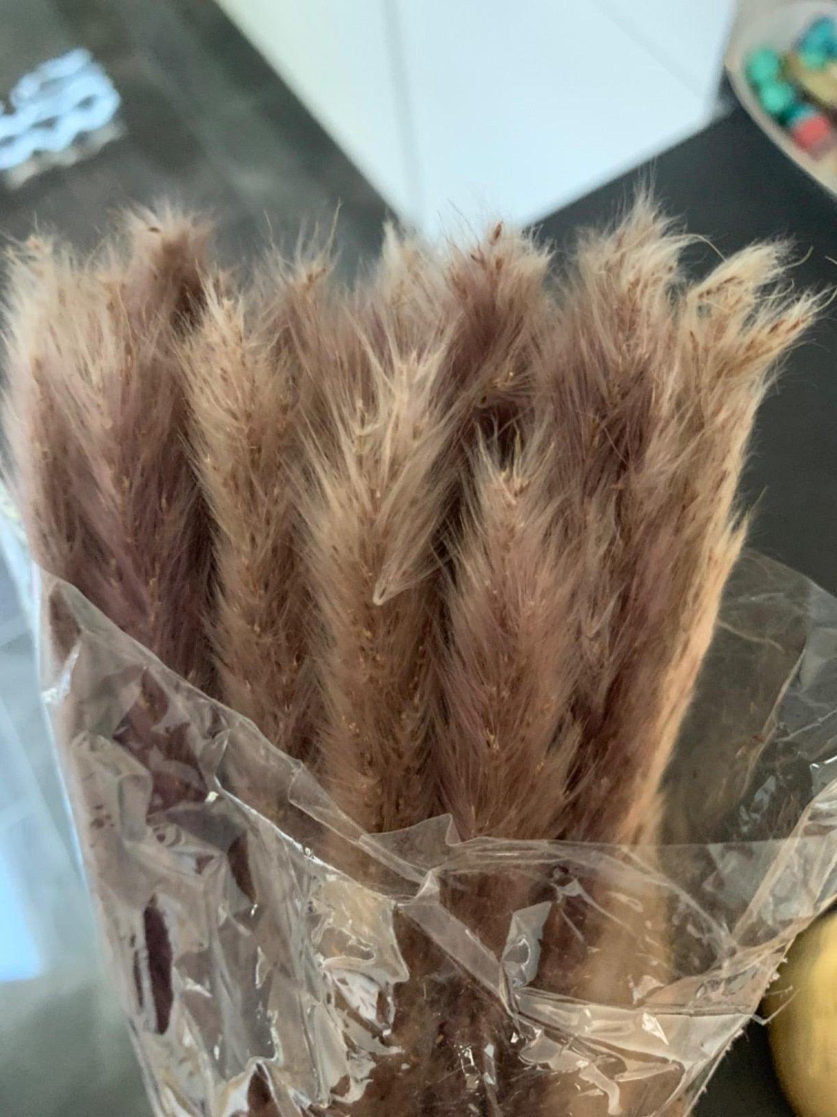 30/50pcs Bulrush Natural Dried Small Pampas Grass Artificial Decor Wedding Flower Bunch Home Office  Floor Vase Filler for Living Room Kitchen And Event Decoration