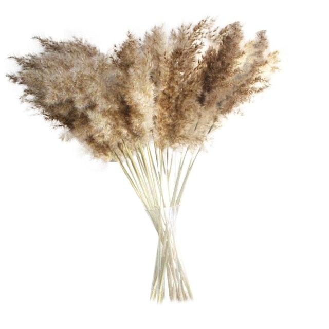 30/50pcs Bulrush Natural Dried Small Pampas Grass Artificial Decor Wedding Flower Bunch Home Office  Floor Vase Filler for Living Room Kitchen And Event Decoration
