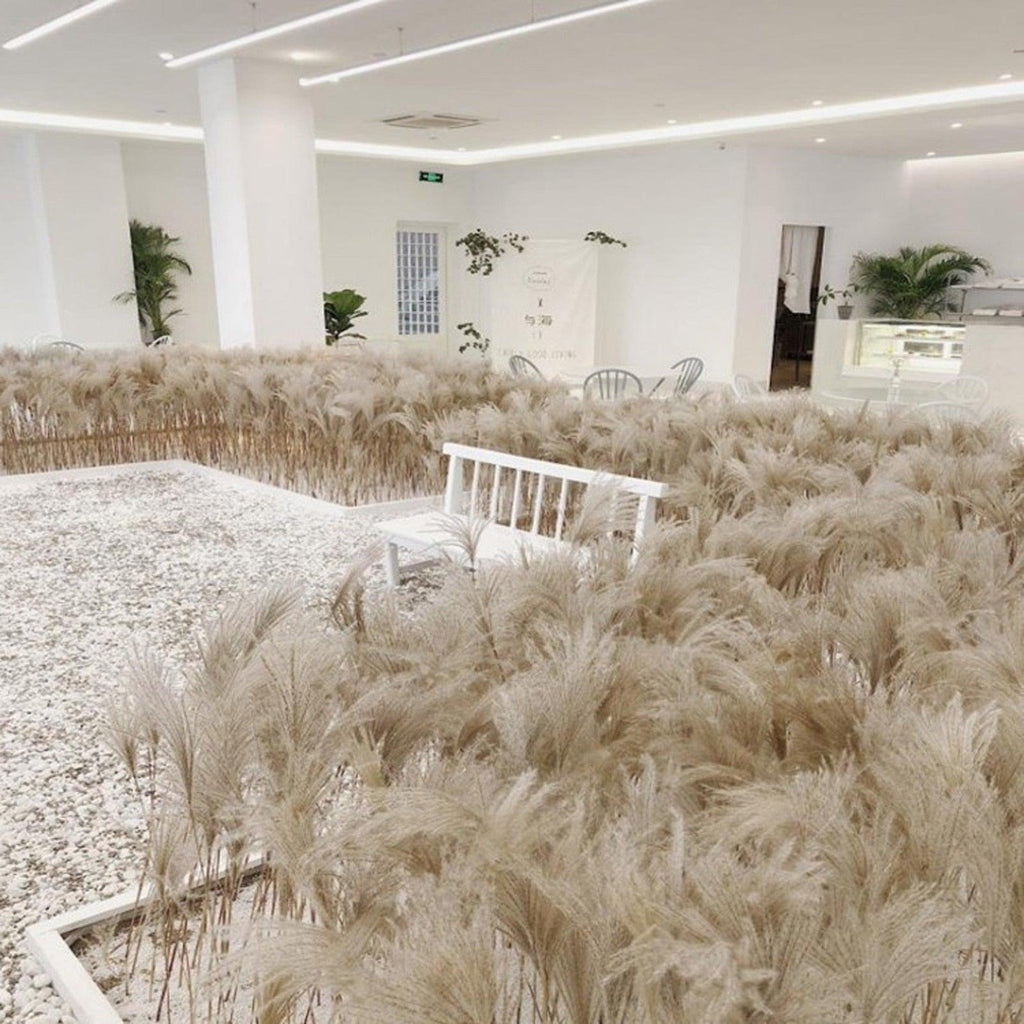 30/50pcs Bulrush Natural Dried Small Pampas Grass Artificial Decor Wedding Flower Bunch Home Office  Floor Vase Filler for Living Room Kitchen And Event Decoration