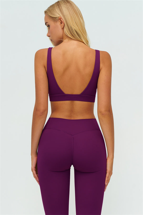 The Lushness V-Back Sports Bra Leggings 2-Piece Set