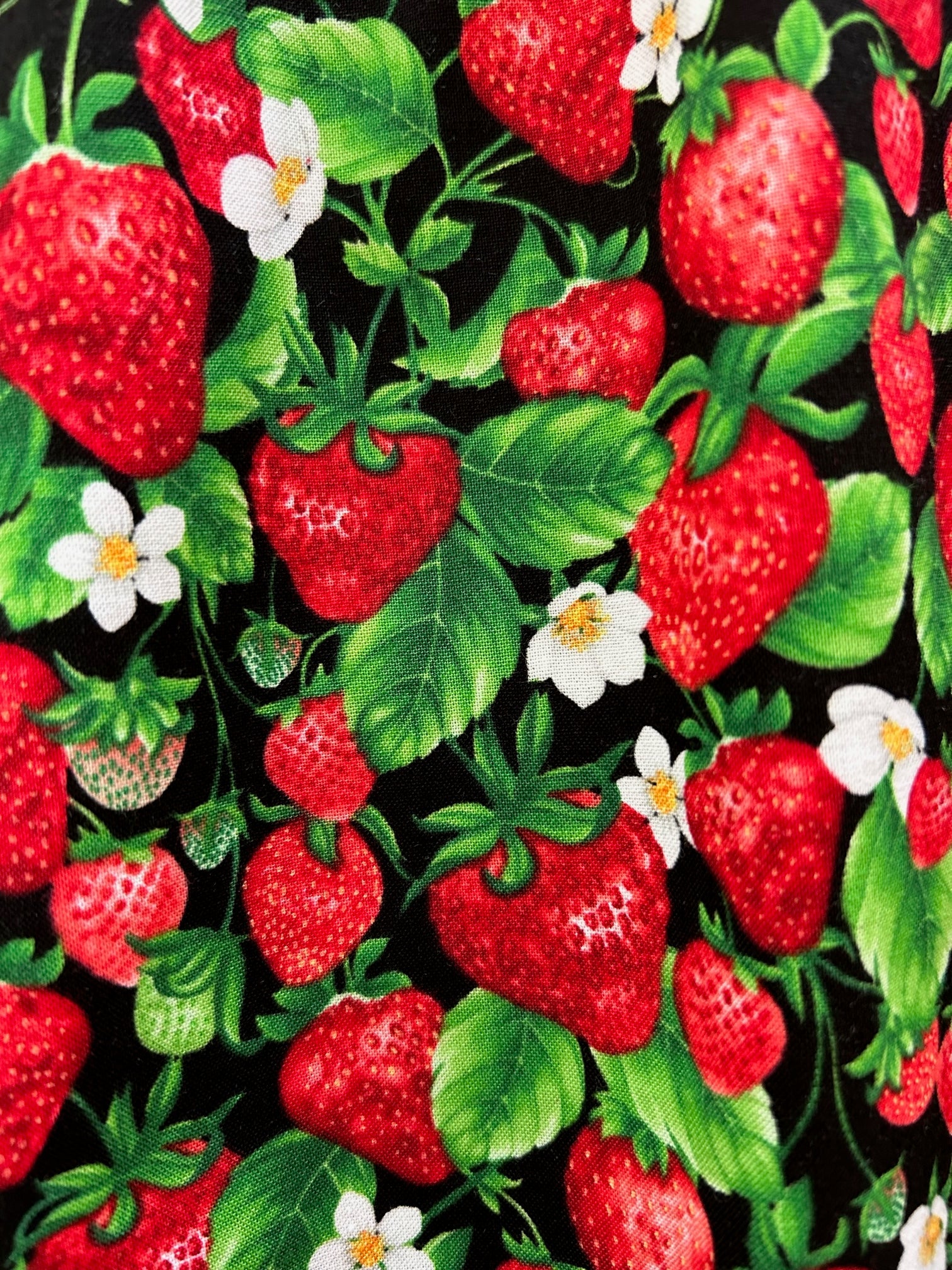 Strawberries A-line Skirt - XS only
