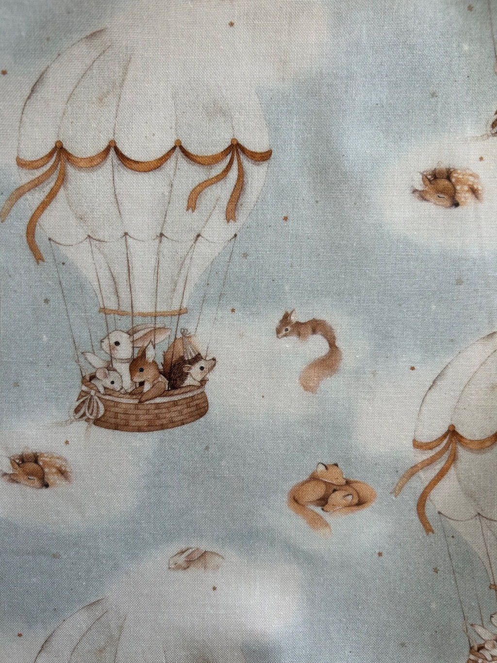 Hot Air Balloon Vintage Dress