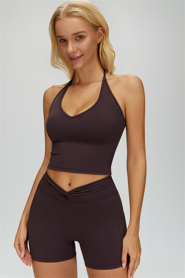 The Dreamy Halter Crop Top