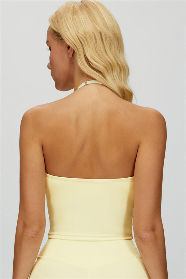 The Dreamy Halter Crop Top