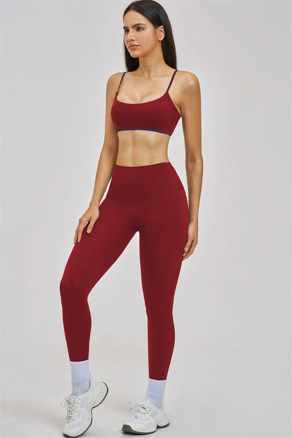 The New Seraphine Sports Bra