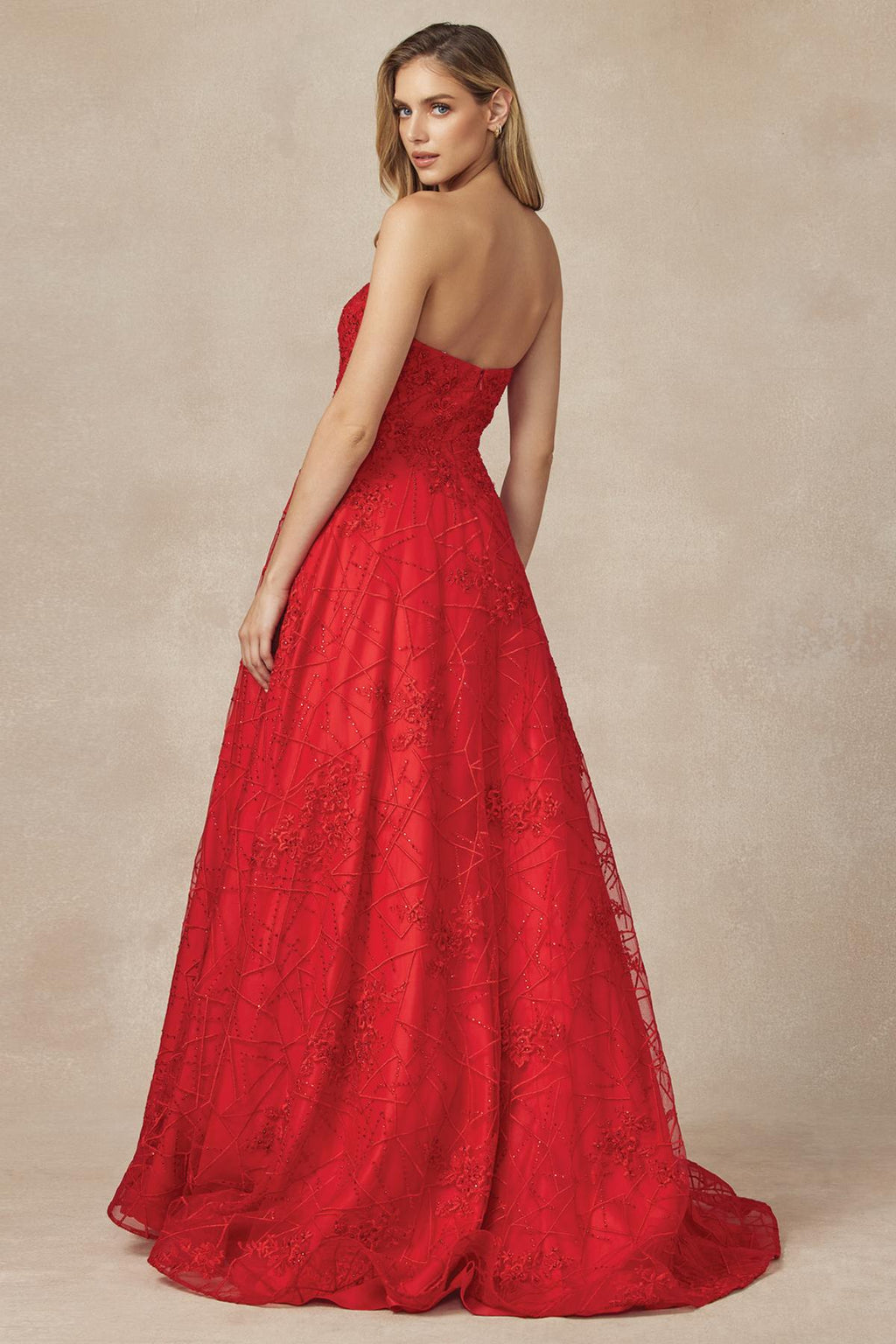 Juliet 692 Long Embroidered Lace Ball Gown Dress With Arm Band