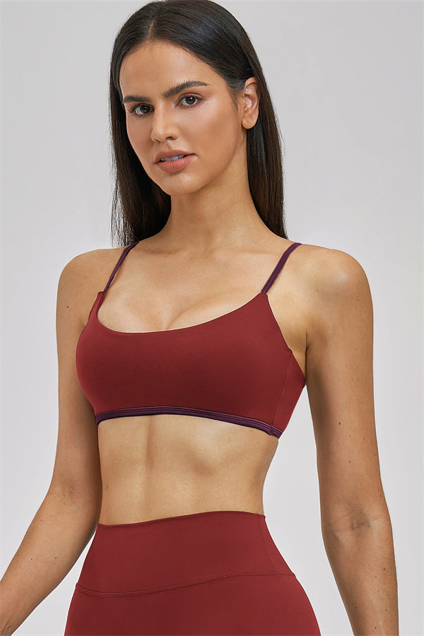 The New Seraphine Sports Bra