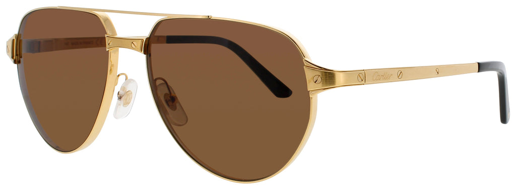 Cartier Ct0425s Sunglasses