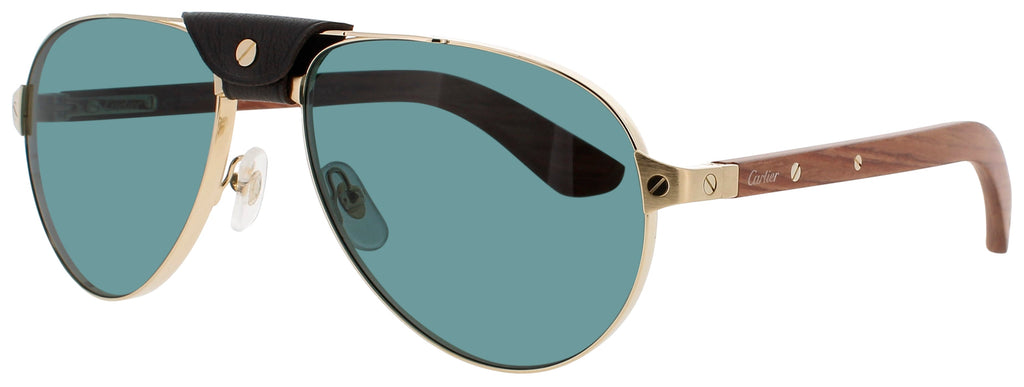 Cartier Ct0495s Sunglasses