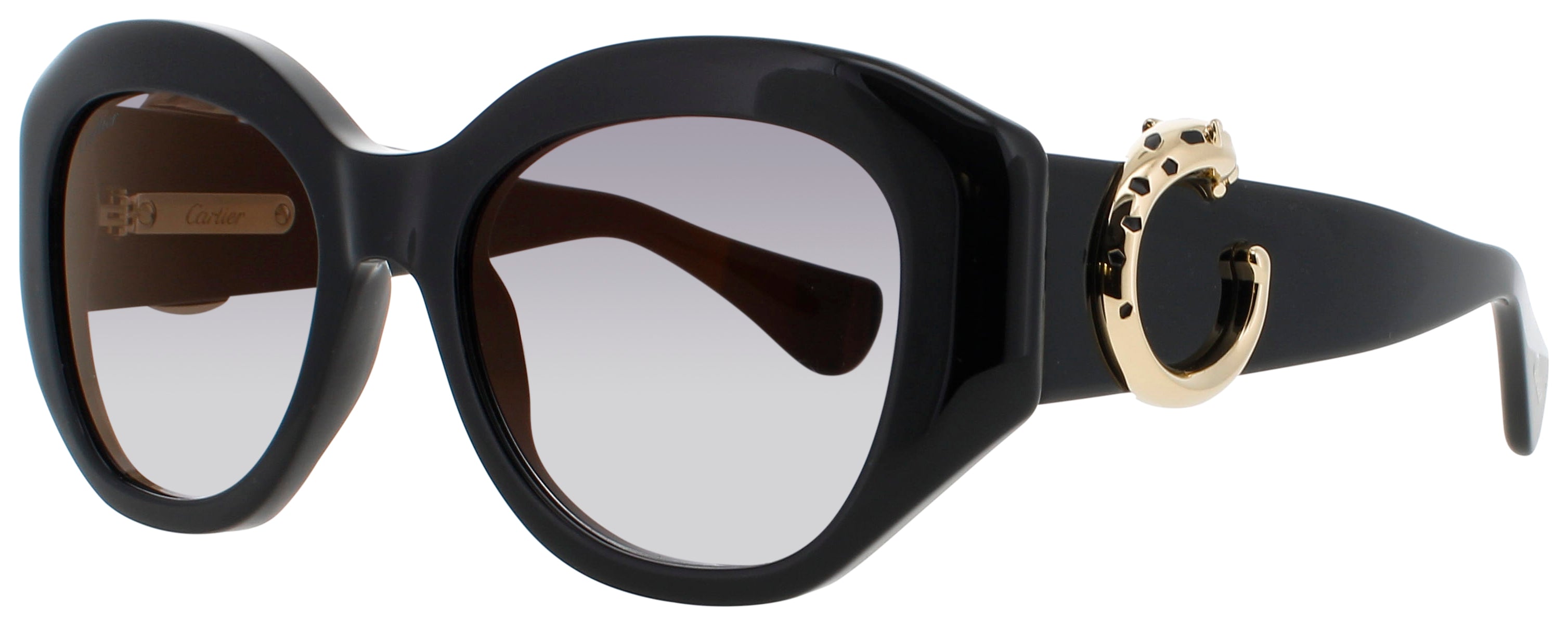 Cartier Ct0502s Sunglasses
