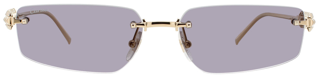 Cartier Ct0544s Sunglasses