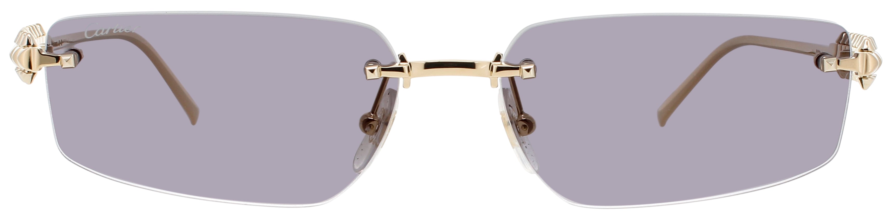 Cartier Ct0544s Sunglasses