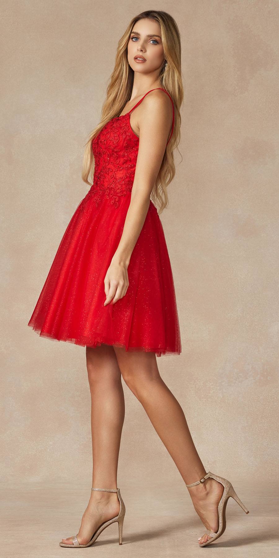 Juliet 860 Short Floral Applique BaDoll Dress