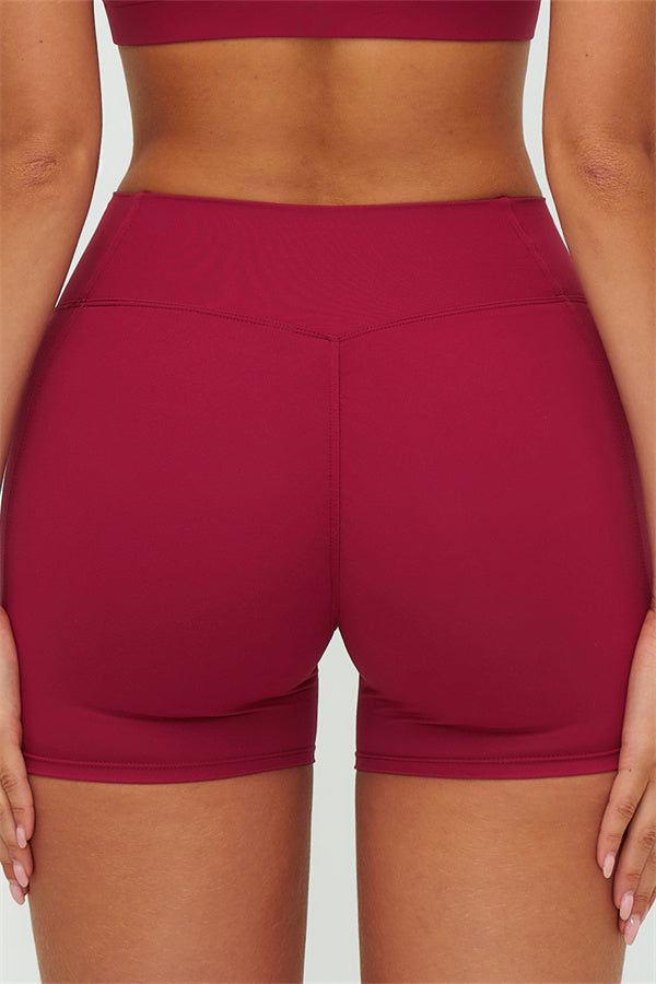 The Lushness Y-Back Sports Bra Shorts 2-Piece Set