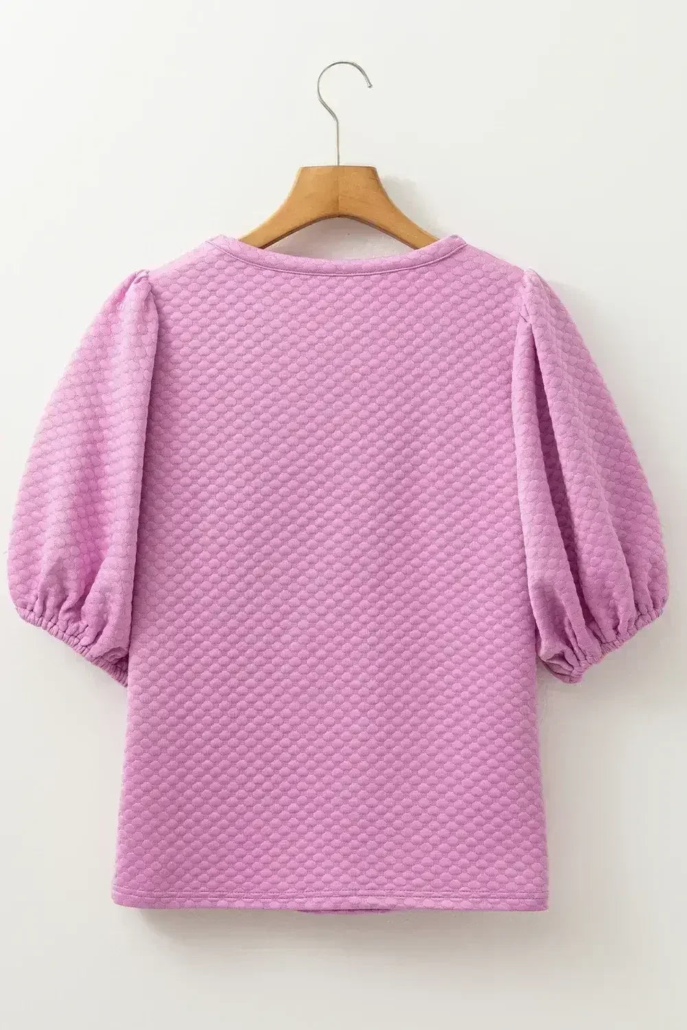 Phalaenopsis Solid Textured O Neck Puff Sleeve Blouse | Femstylo