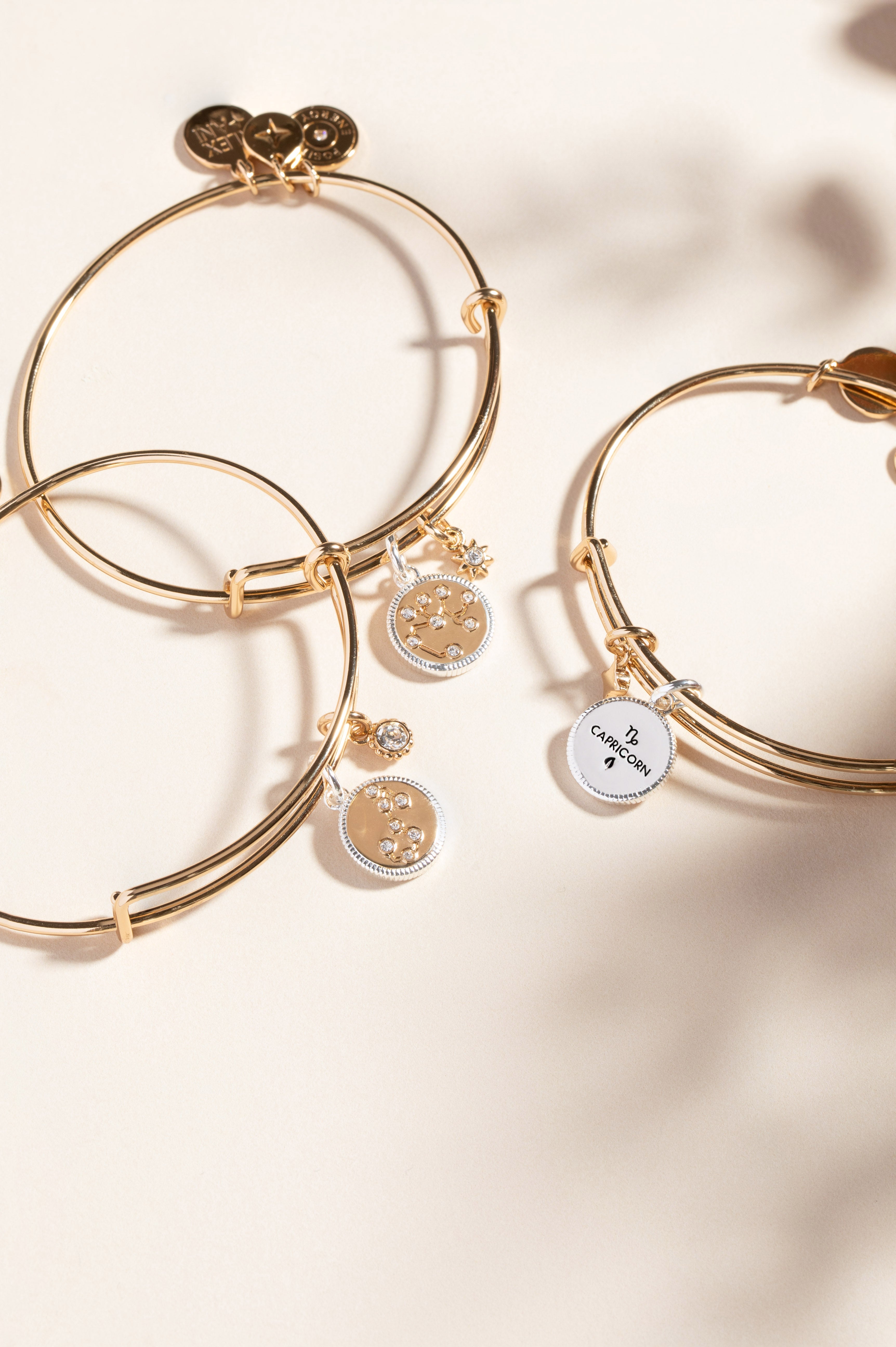 Sagittarius Zodiac Charm Bangle