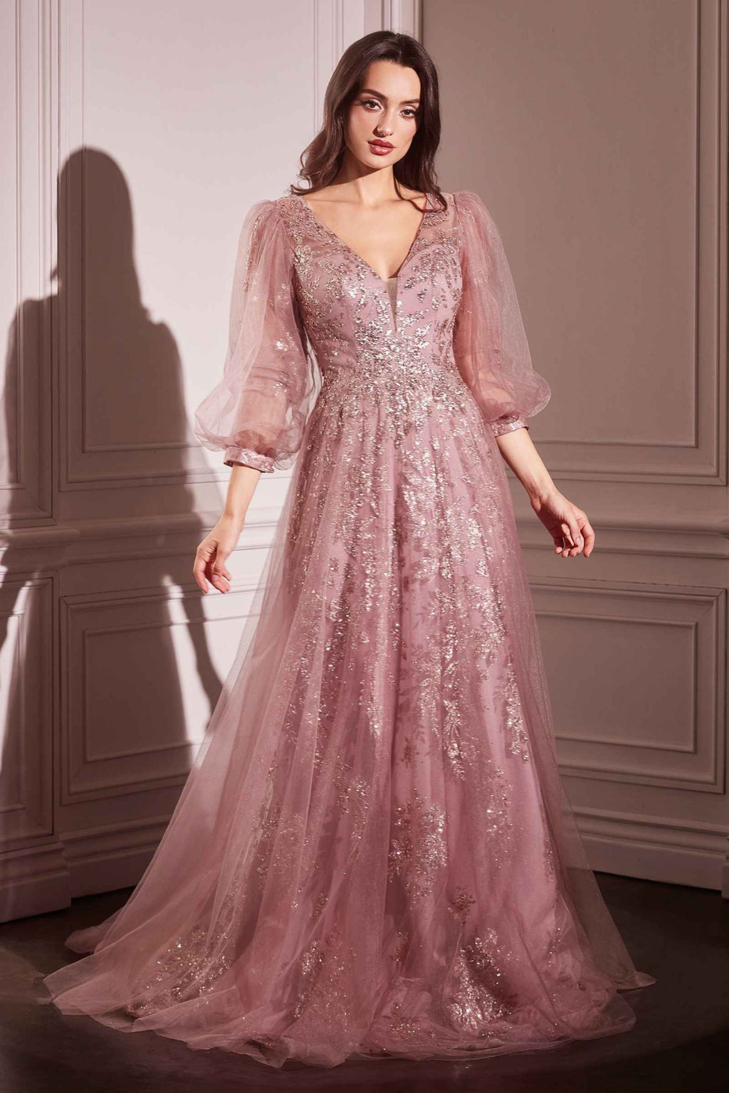 Ladivine CD0102 Dress Long Sleeve Layered Tulle A-Line Gown