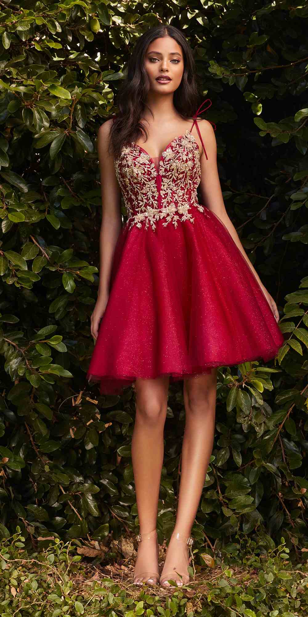 Cinderella Divine CD0188 Short A-Line Tulle and Lace Dress