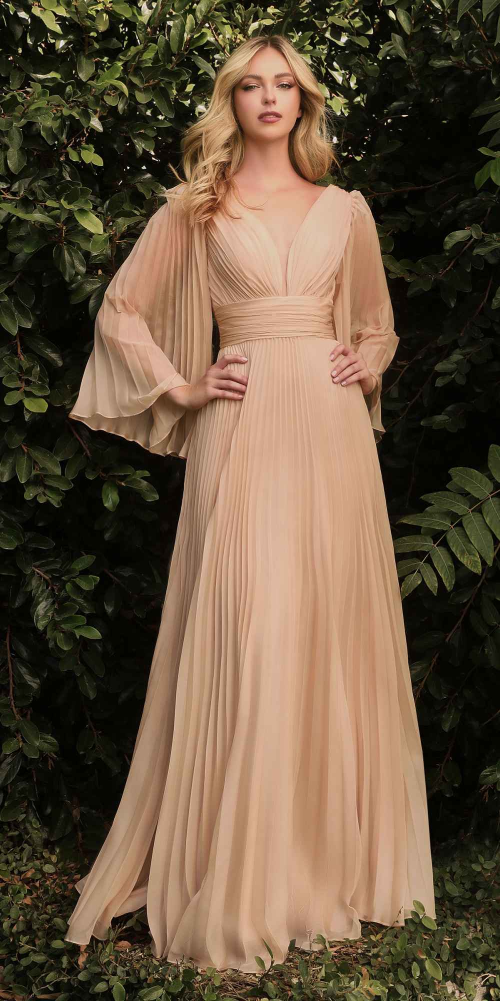 Cinderella Divine CD242 Pleated Chiffon Long Sleeve Gown