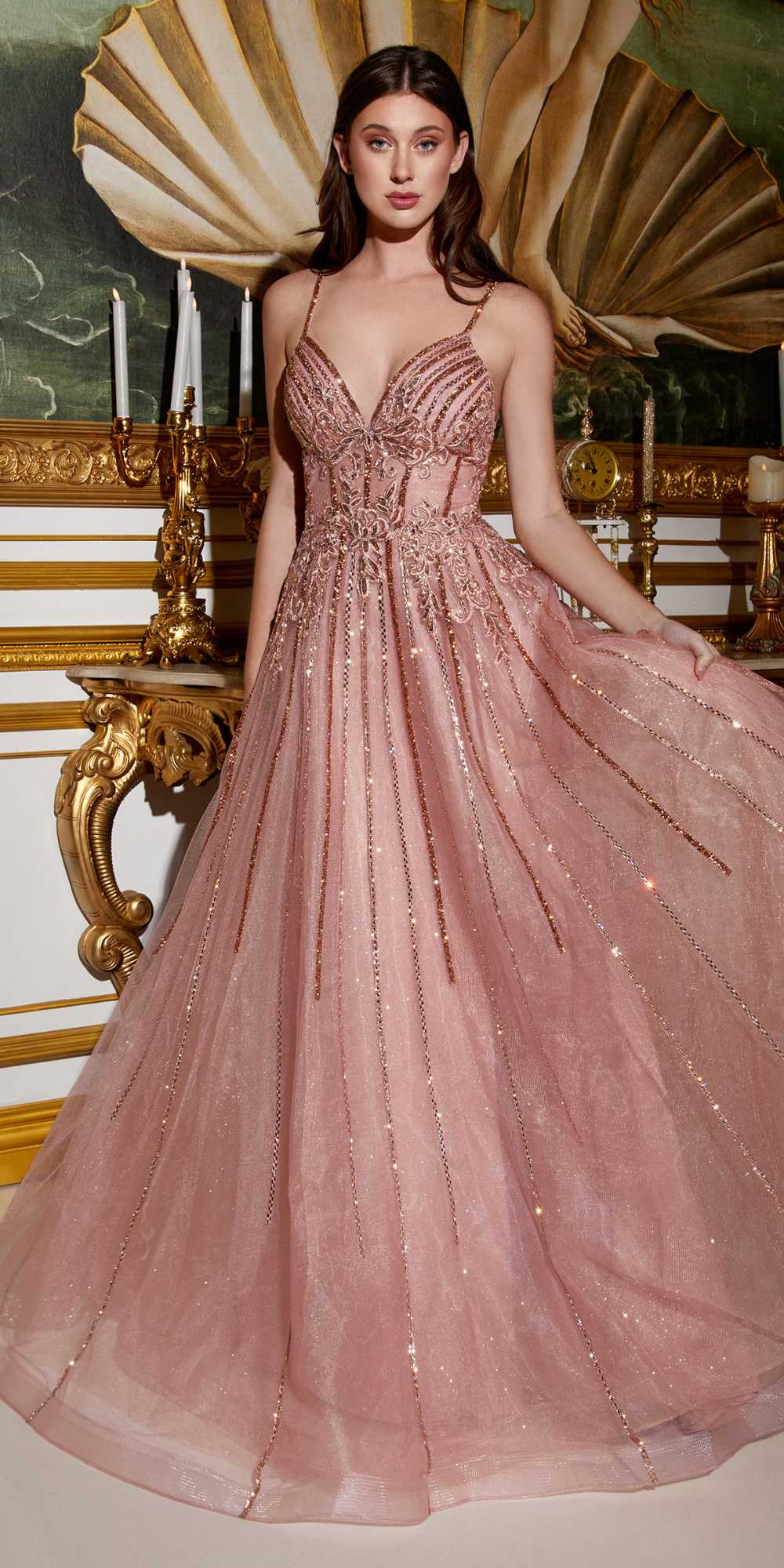 Cinderella Divine CD994 Long A-Line Beaded Tulle Gown Lace Detail V-Neck