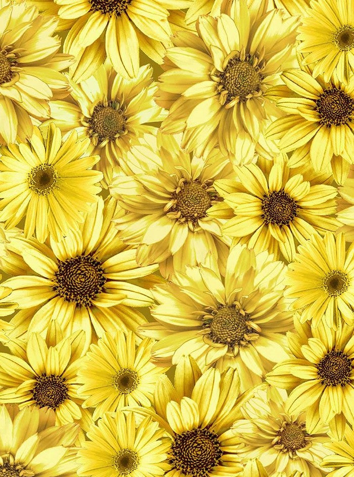 Sunflower Collared Dress