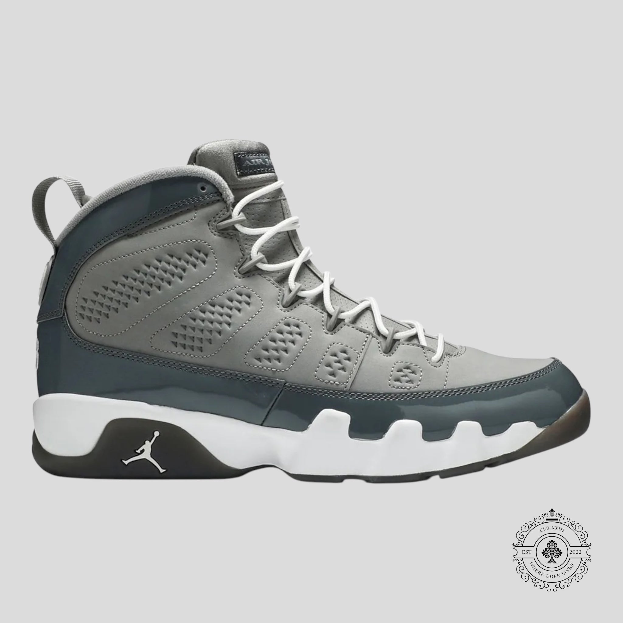Air Jordan 9 Retro Cool Grey 2025