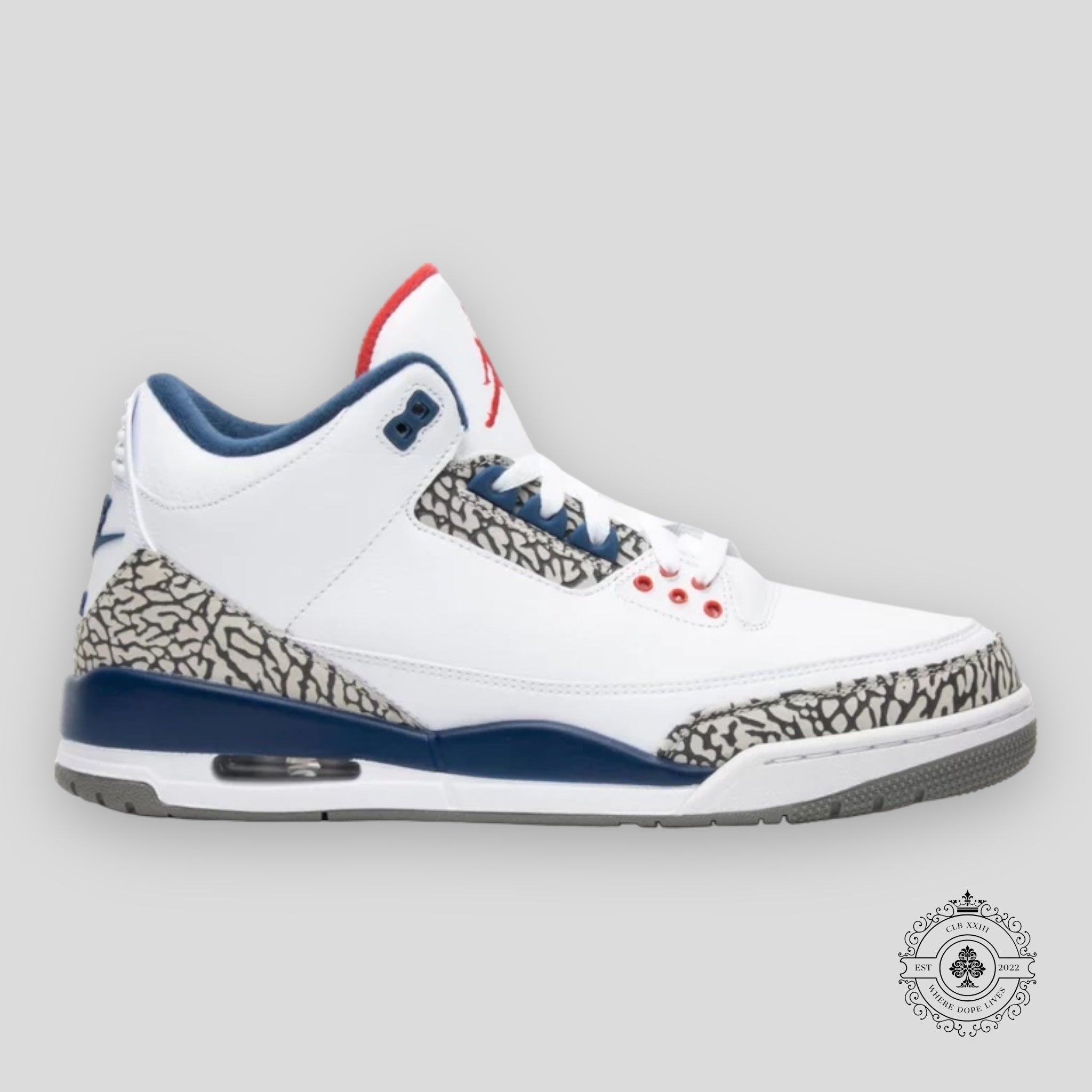 Air Jordan 3 Retro True Blue 2016