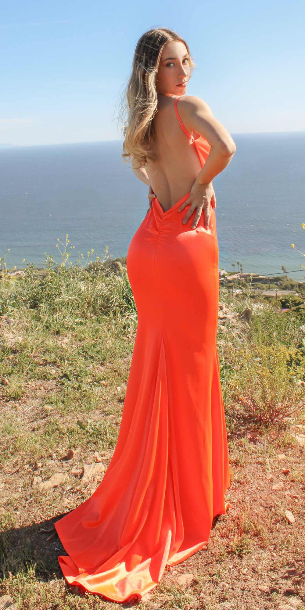 Astee SE016 Long Fitted Semi Formal Gown by Cinderella Divine