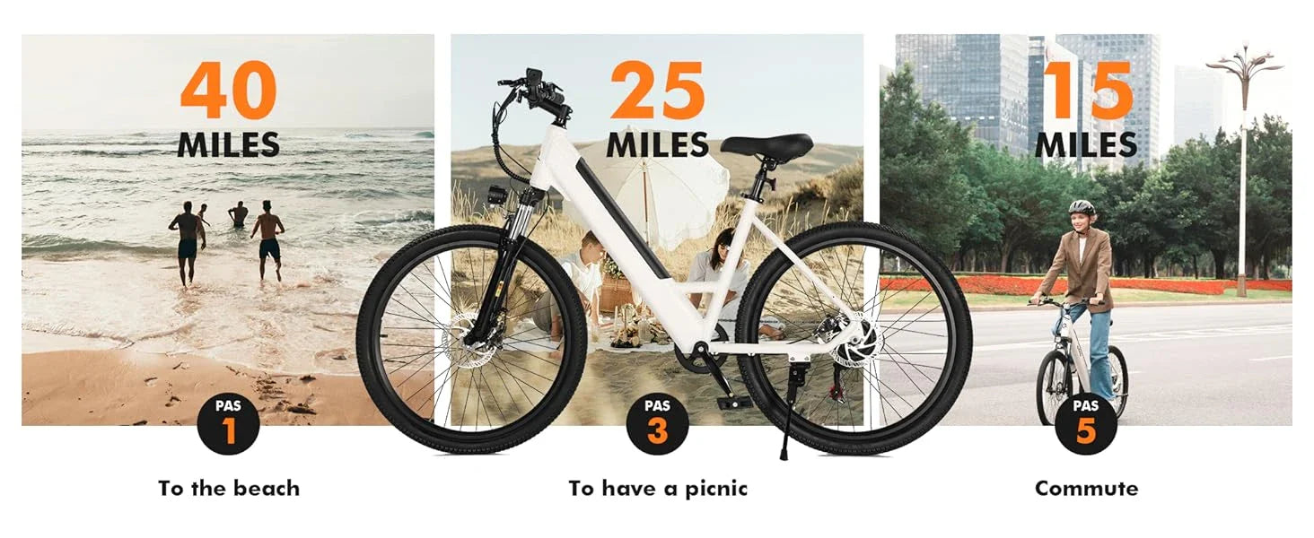 eBike Boys 750W Electric Bike - Step-Through Frame, 36V Battery