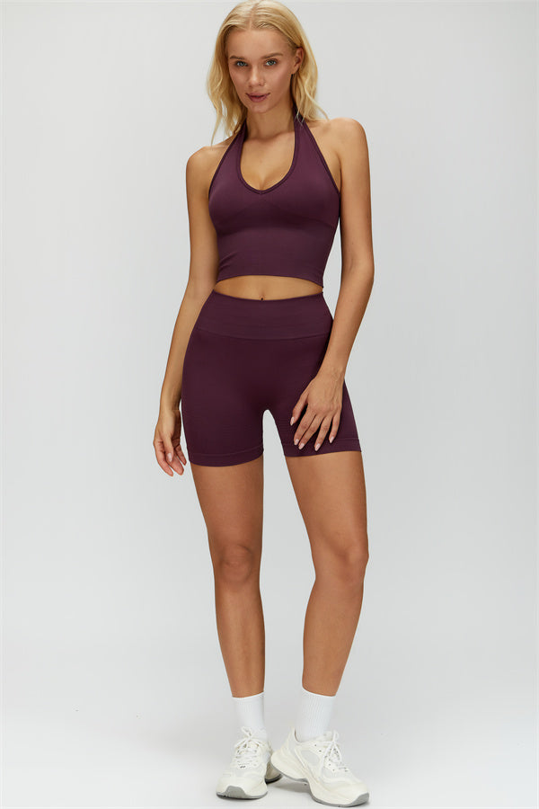 The Delight Halter Top Shorts 2-Piece Set