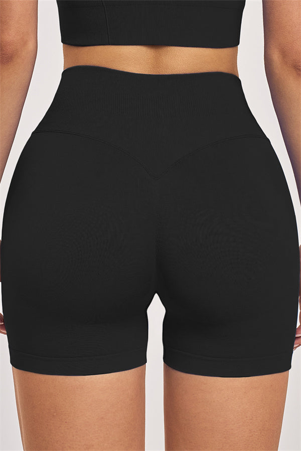 The Vision Sports Bra Shorts 2-Piece Set
